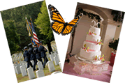 Butterfly events