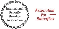We are members of the Internation Butterfly Breeders Association and the Association for Butterflies.