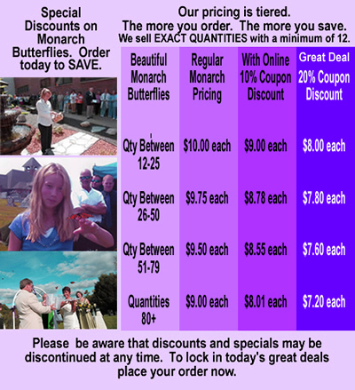 Discount on ONLINE orders of Live Butterflies