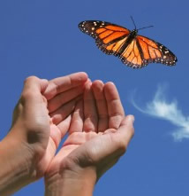 Monarch butterfly release in Iowa.
