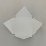 Feature-2